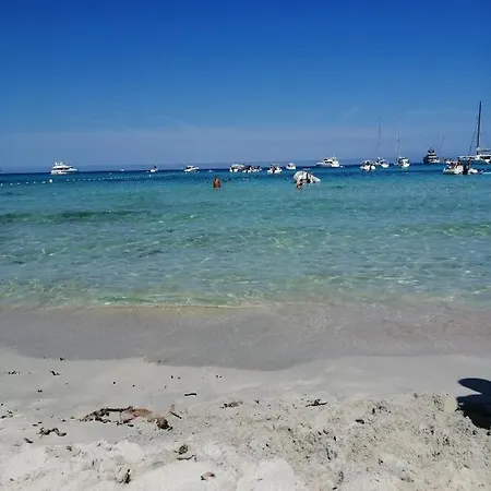Maison 9 Couchages Avec Piscine Et Jardin Au Calme Barbaggio