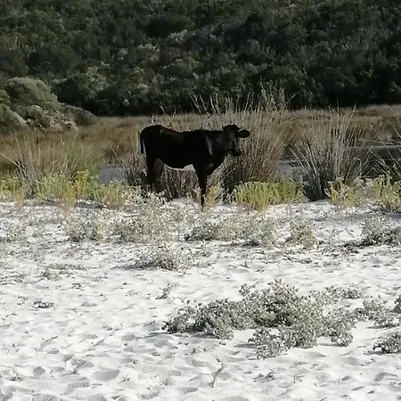 Maison 9 Couchages Avec Piscine Et Jardin Au Calme Semesterbostad *