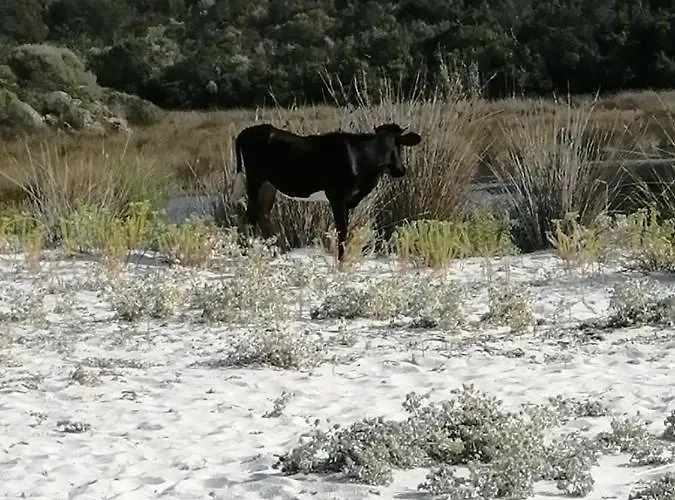 Maison 9 Couchages Avec Piscine Et Jardin Au Calme Holiday home *