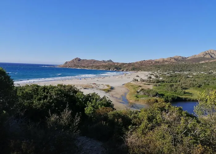 Maison 9 Couchages Avec Piscine Et Jardin Au Calme * Barbaggio