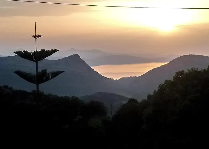 Maison 9 Couchages Avec Piscine Et Jardin Au Calme * Barbaggio