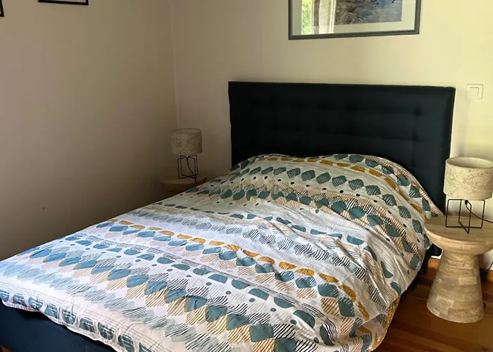 Maison 9 Couchages Avec Piscine Et Jardin Au Calme * Barbaggio